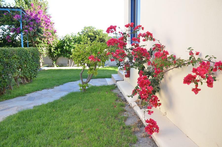 Bed & Breakfast Litsas Fanes (Rhodes)
